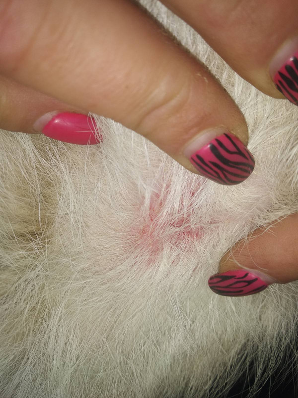 изображение_viber_2020-06-13_00-23-40