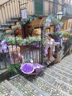 Milàn y lago Di Como - Blogs de Italia - Lago Di Como, Bellagio y Giardini di  Villa Melzi (3)