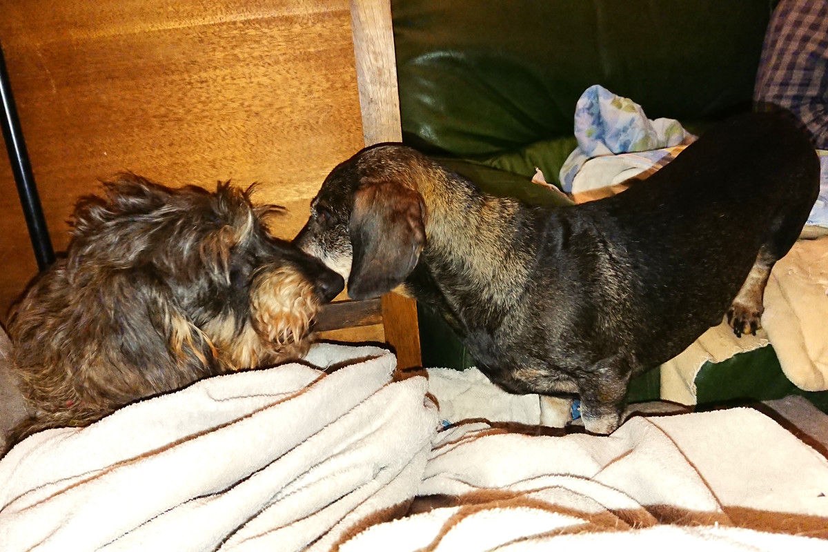 [Image: DSC-3439.jpg]