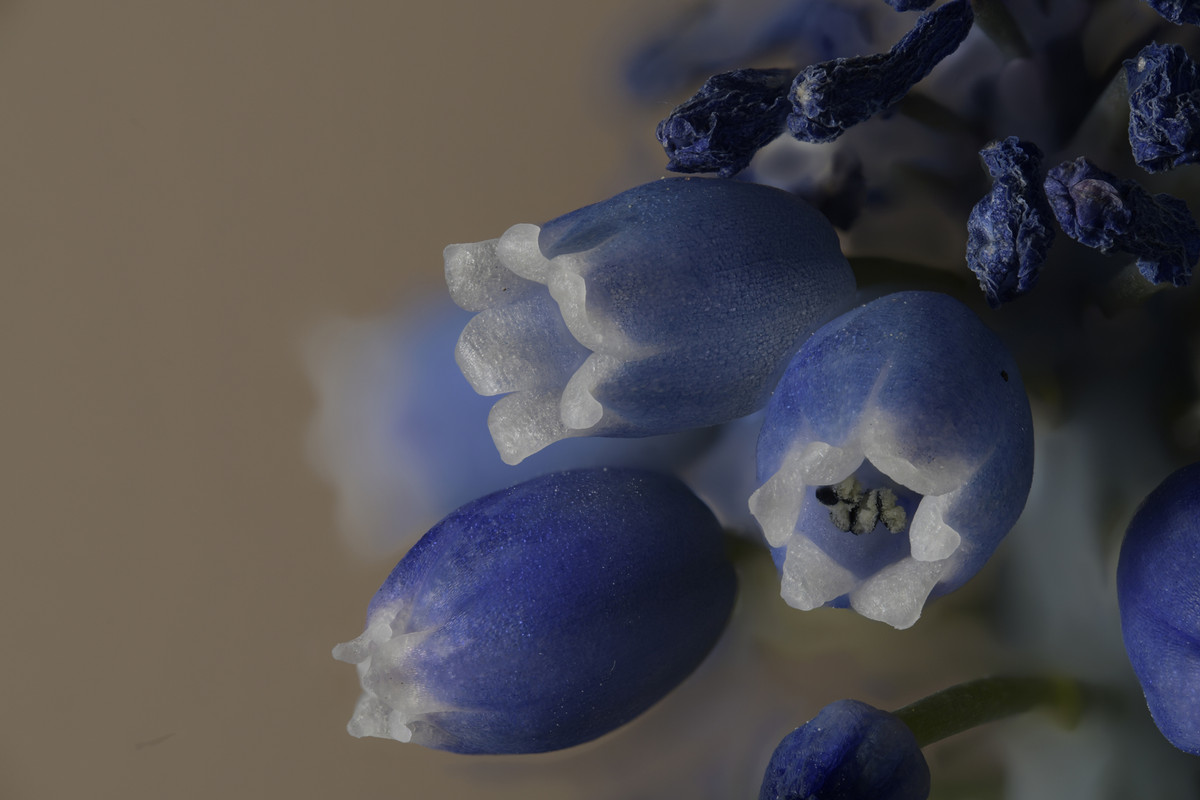 2024-04-29 12-12-47 (B,R8,S4)