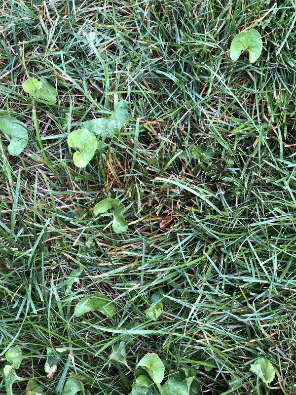 86377AB3-1CC0-4B78-9B84-8DF36A1B0BA7