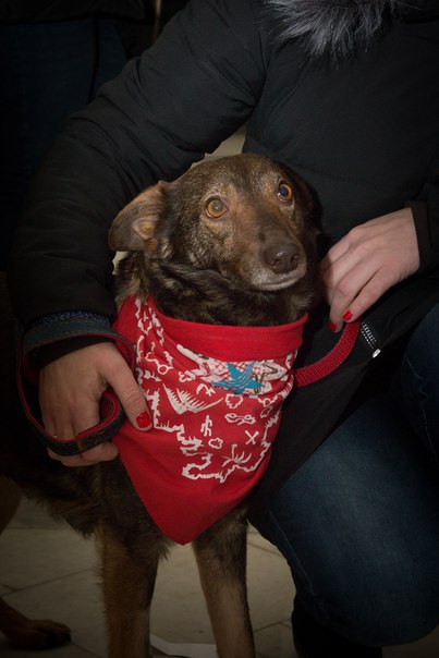 29580E57-1D14-4752-836B-4A7955B1C6B0