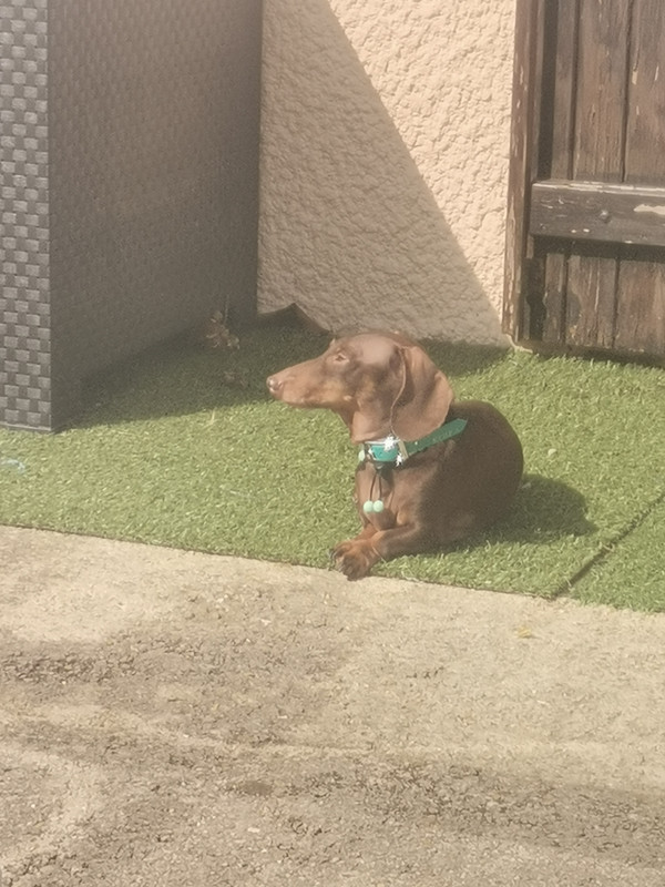 [Image: IMG-20230430-110732.jpg]