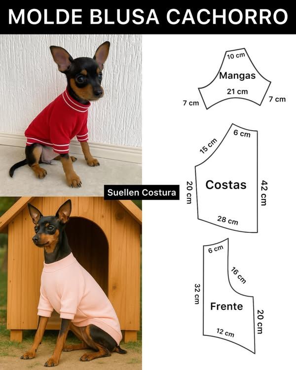 Amostra 6