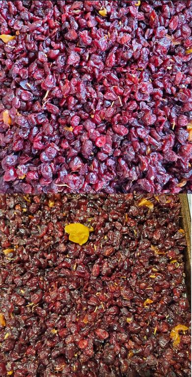 [Image: 20251221Mut_Cranberries.jpg]