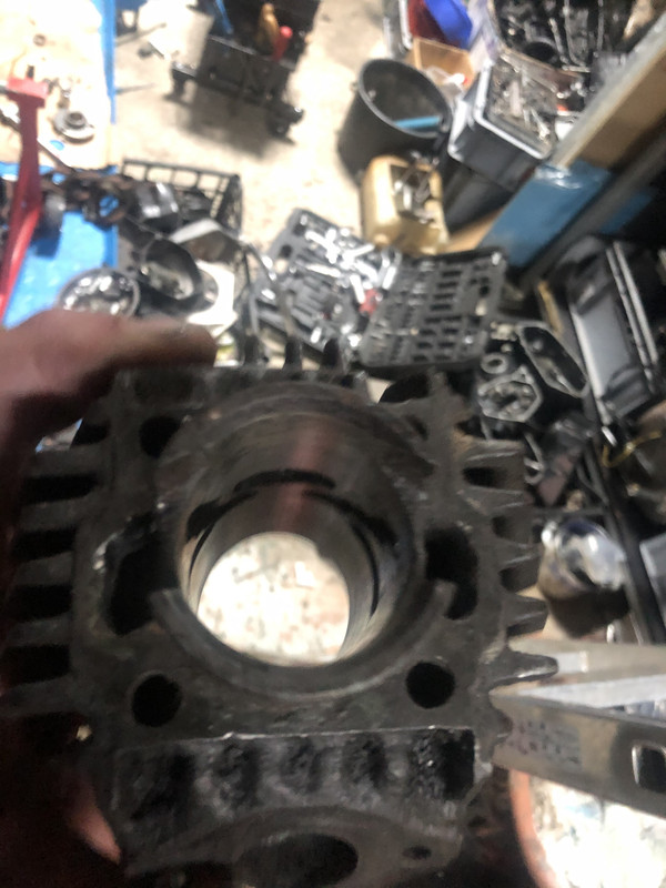 E911568B-CE4D-4E2D-B252-A230108DB0F2