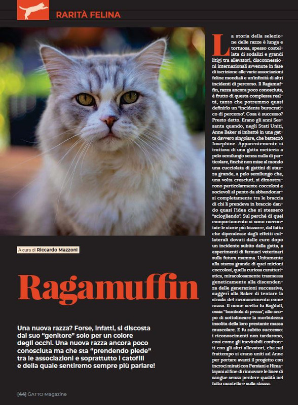 Ga Ma Dic 2022-Gen 2023 (9)