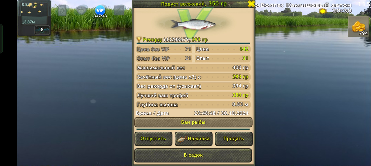 Screenshot-2024-10-30-23-49-01-44-fa28ee