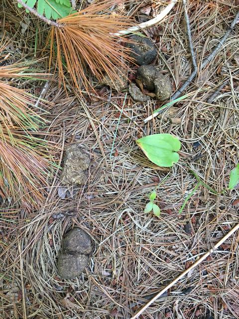 92DD7893-5970-4551-A3C1-1DF41DCF811A