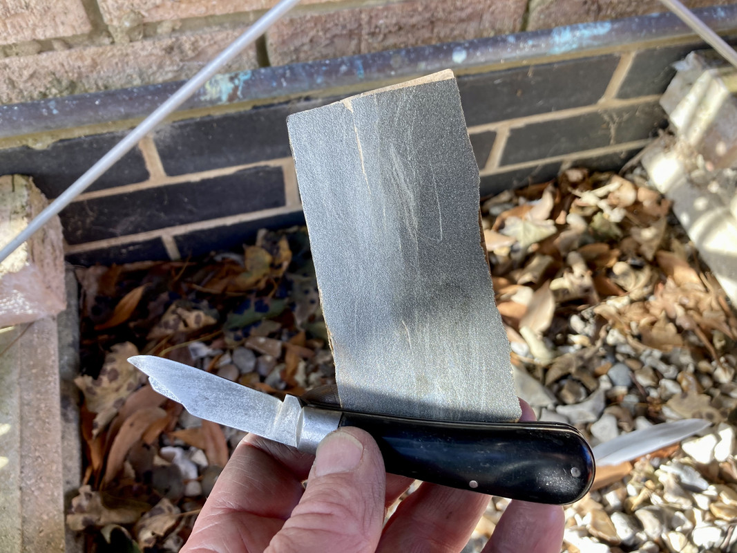 95B8F9A1-F4C6-46F3-AC74-3E16350CDD9A