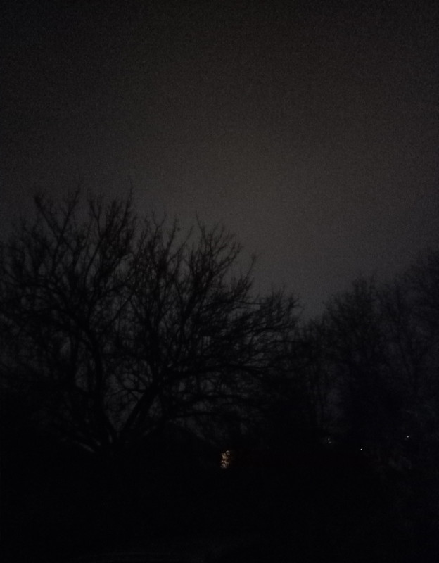 IMG-20211101-233028.jpg