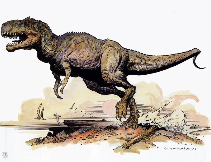 stout-william-tyrannosaurus-rex-ma-sp9-artfond