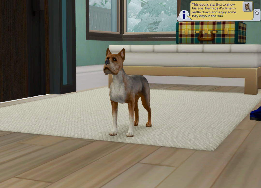 Sims2-EP9-RPC-2024-12-09-20-58-38-44
