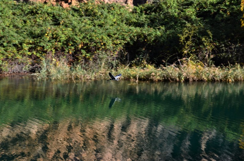 CAÑON DEL RIO GUADIELA-2011/2015-CUENCA - Paseando por España-1991/2024 (28)