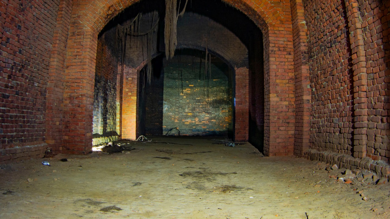 Саратовский тлен