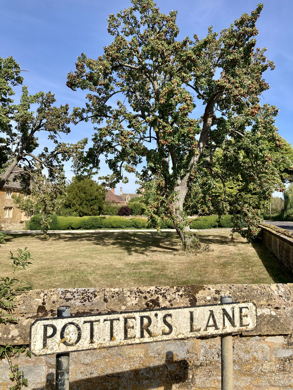 12E95A8D-5D54-4954-8986-CA415FFA9683