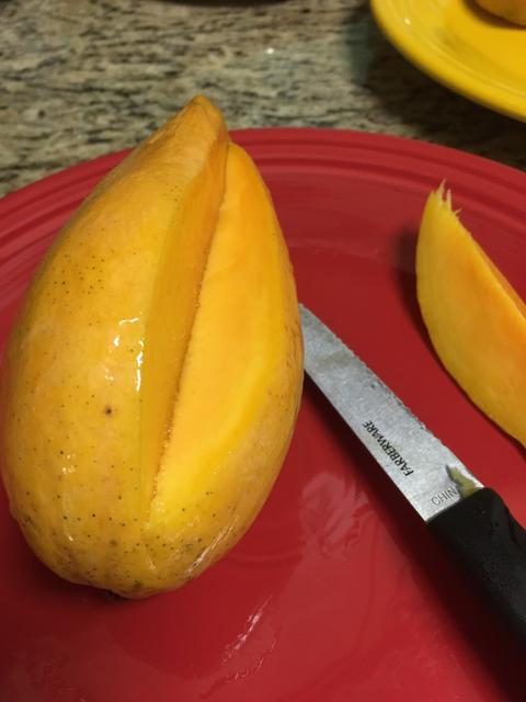 B086ACA3-F622-4742-AF07-10D94D113238