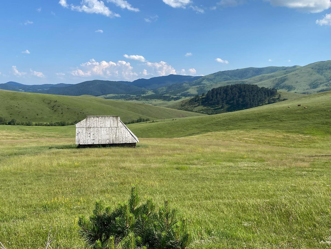 EDF119DE-63CB-44BA-8A69-83E49BE04066