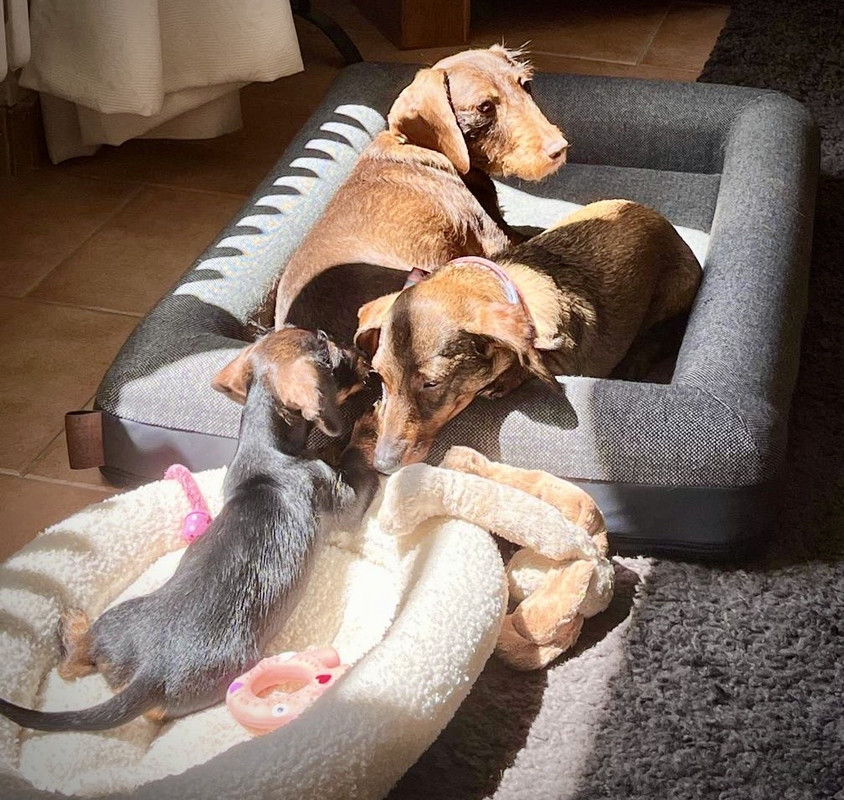 [Image: 1abb6090-c6cb-4593-a591-49d7d0d847df.jpg]