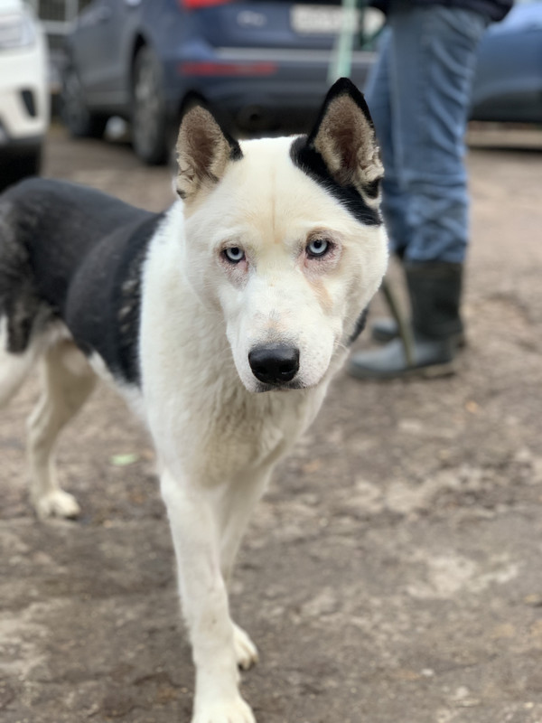 7644C0A3-8307-4786-BFF2-6D6C34F13639