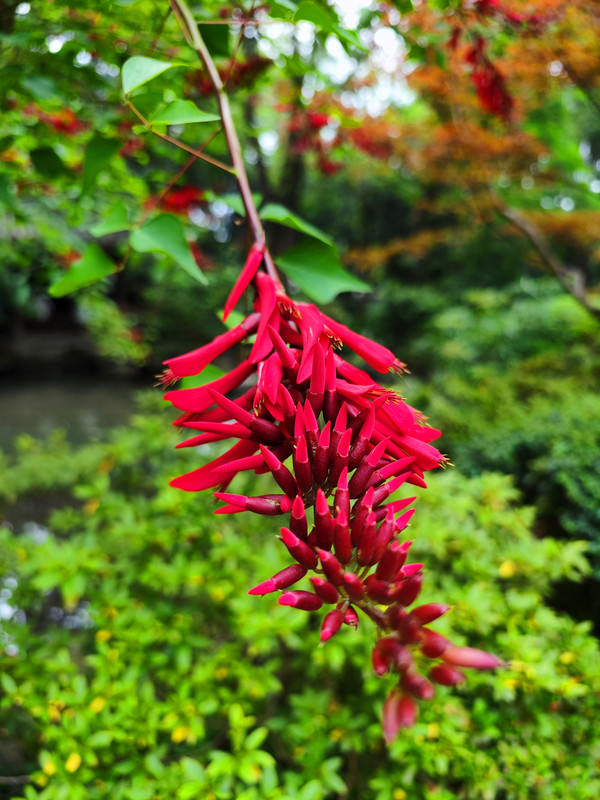 IMG_20230523_152917_1_副本