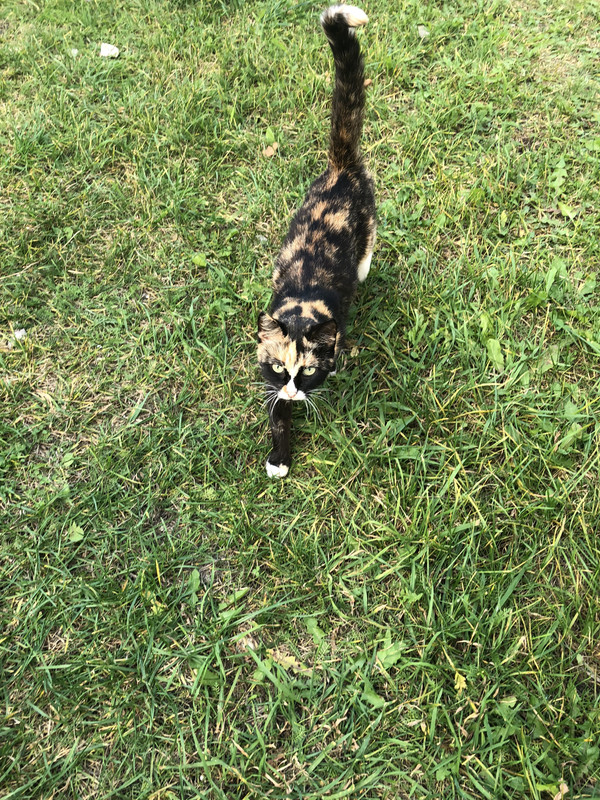 26D1BF47-FBEE-4C63-9AA8-A89171706169