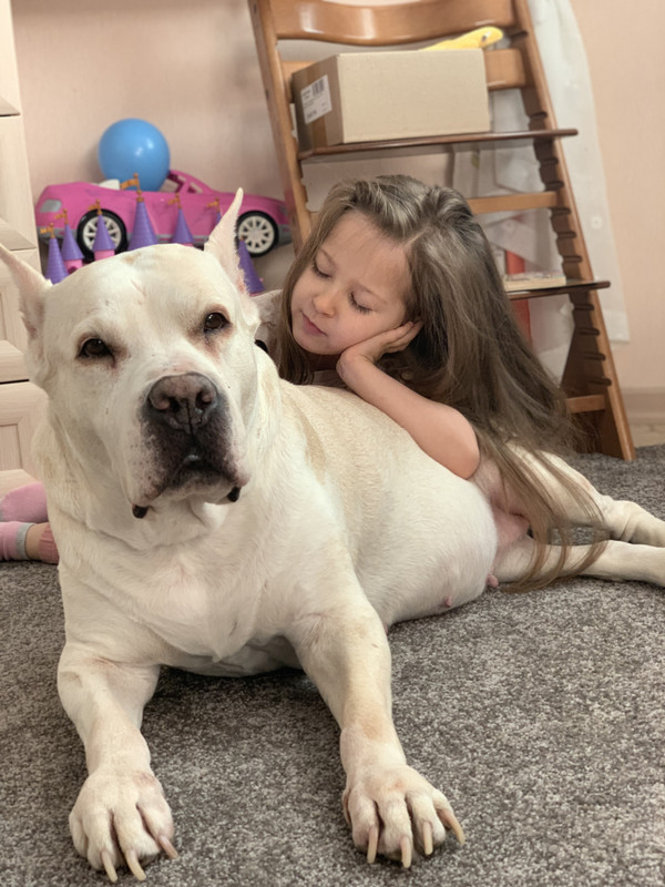 EF602A49-5E78-4CE2-B82C-C6217BBB4689