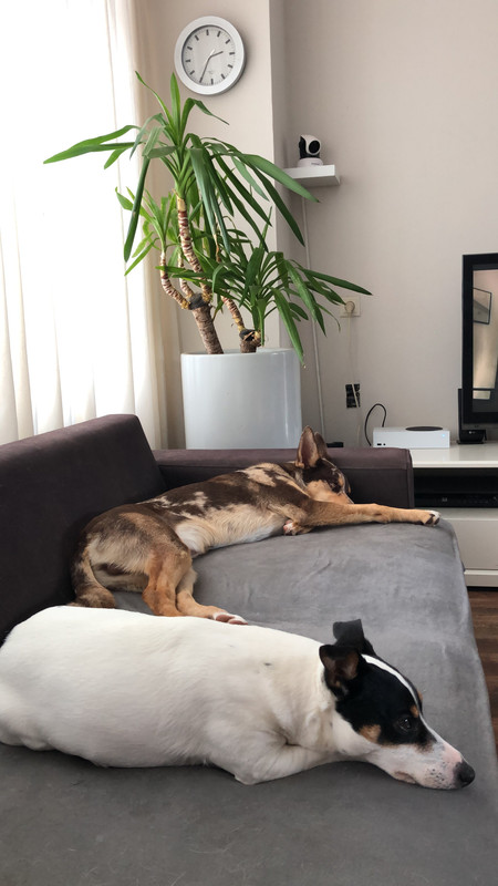 8B93C46C-514F-4892-8C6E-C865D7C80E8D