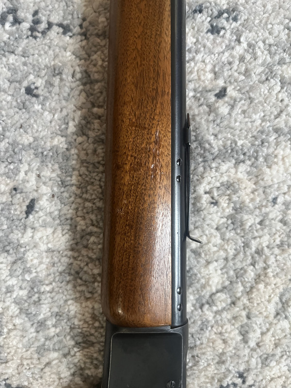 B91CF5F5-768D-4C4A-B162-84141390BCD6