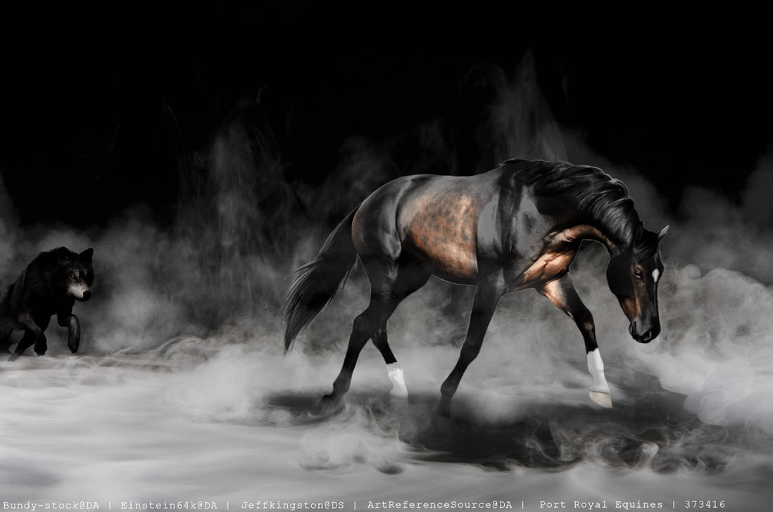the-hunted-v2-stock-art-2-by-portroyalequines-dhm3hy3-pre.jpg