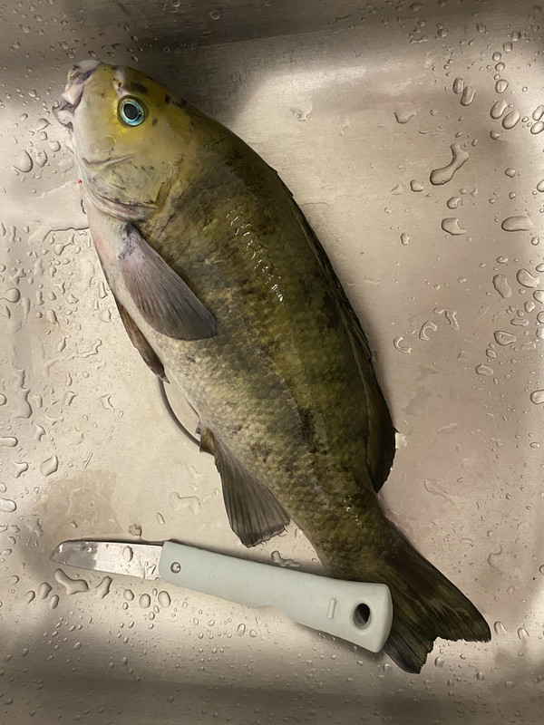 CFBA13CC-6010-4350-B2BC-366EA24ABD86