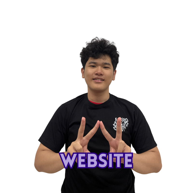 Website