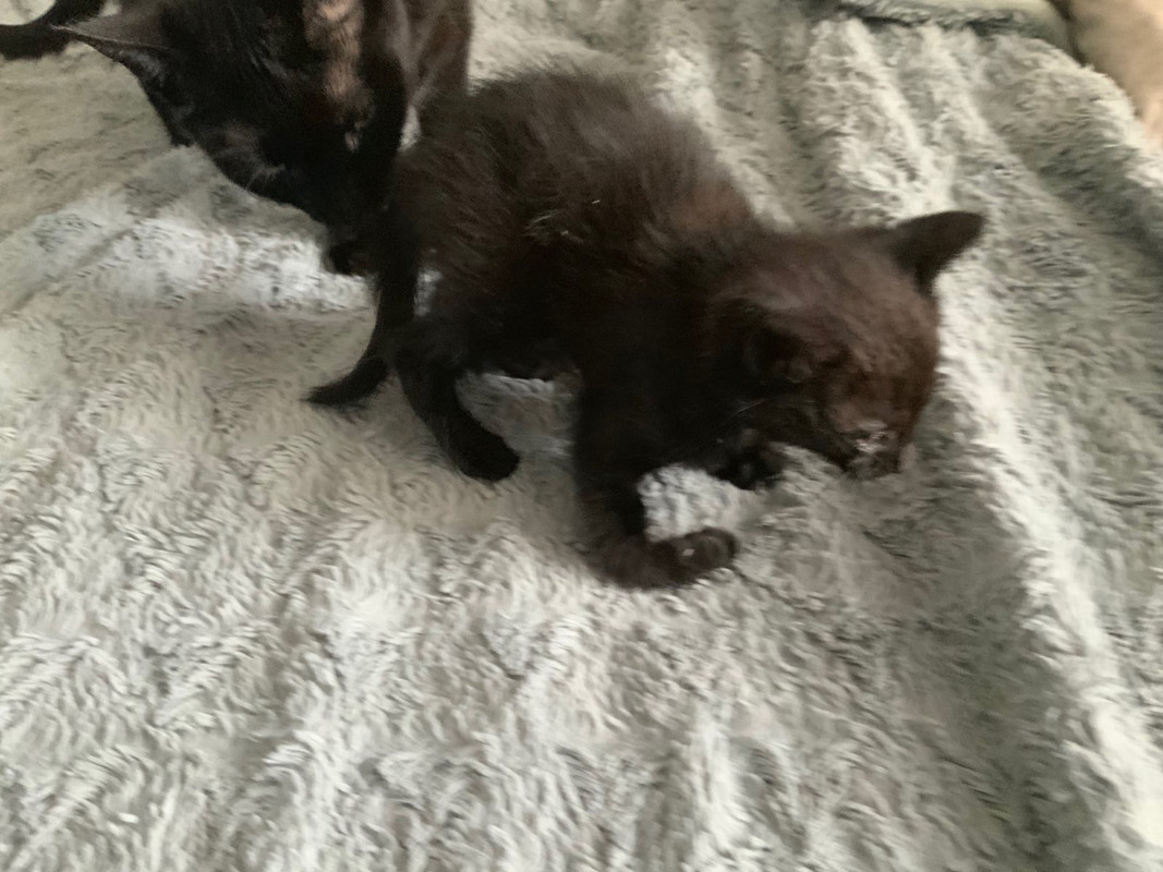 01B04BB7-4CC2-4742-ACB3-3D274F32E6D1