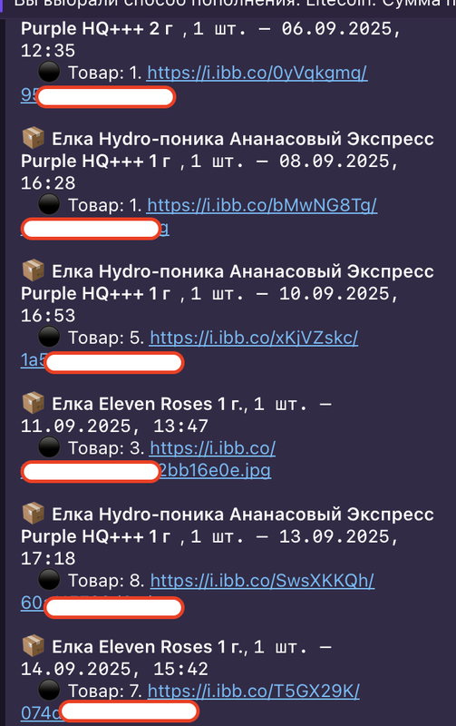 Снимок экрана 2025-09-17 в 10.29.26