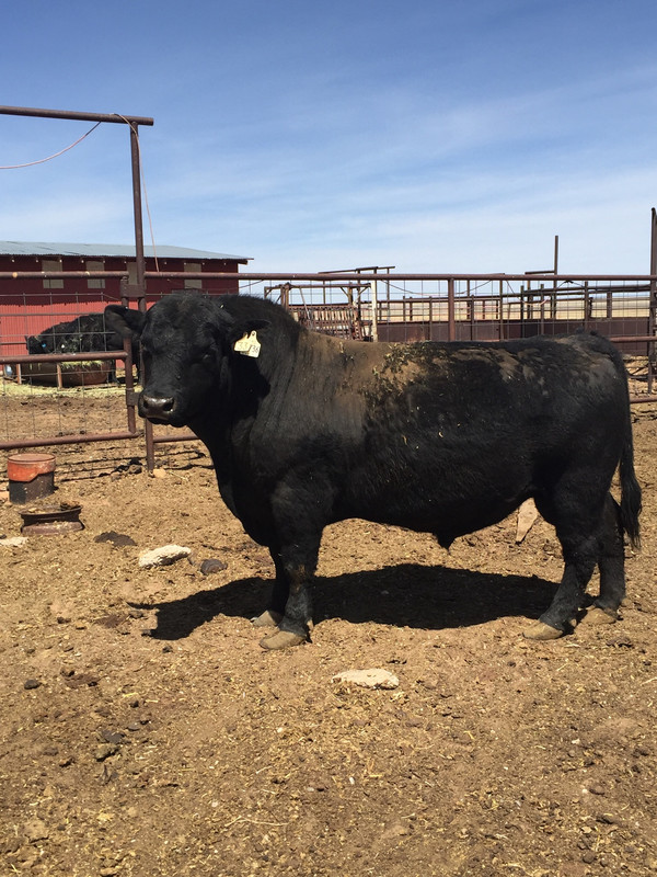 4D94736E-B52C-4492-9974-CB8AC0C2422F