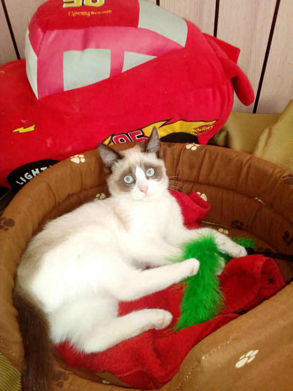 IMG_20181009_075255_1CS