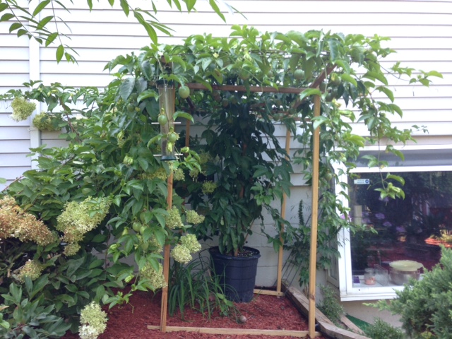 photo 1(10)