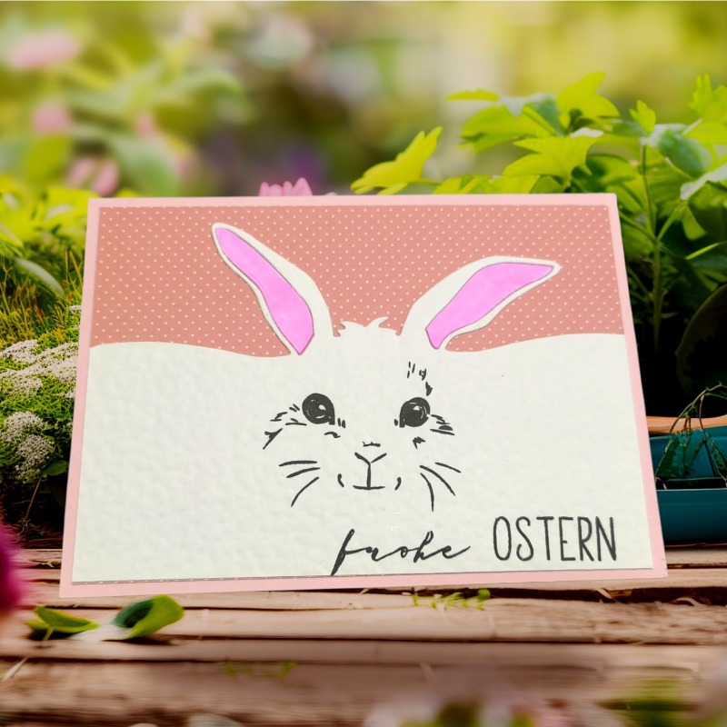 Whats App Image 2026 04 06 at 18 24 03 (1)