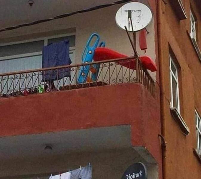 daily-picdump-19-2.jpg