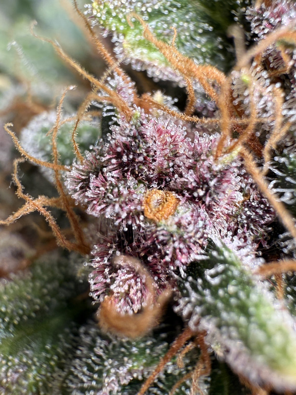 79041243-A30C-41B9-9263-6DB167034522