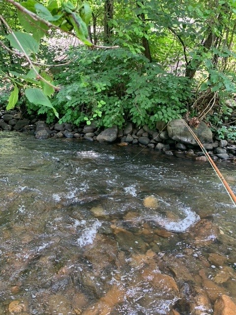 Stream 3 - Memorial day 5-27-24