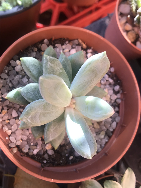 B98EF53D-1ABB-4C96-B4DF-B1C3A19E036E