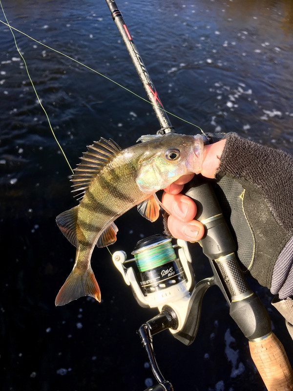 A6FB88CA-128A-4375-B54A-35DE699FE288