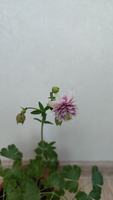 IMG_2023_04_19_15_27_08_498397869995526814174