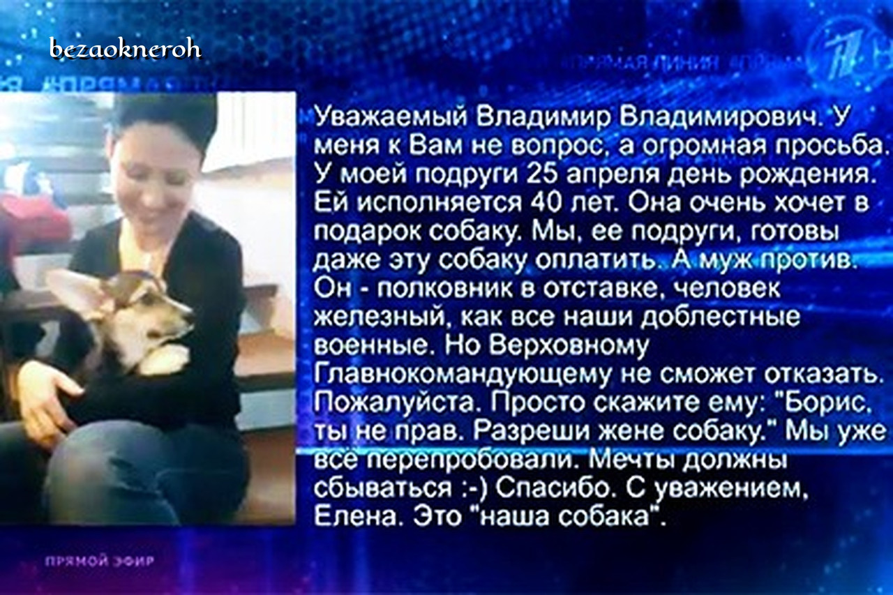 Разреши жене собаку