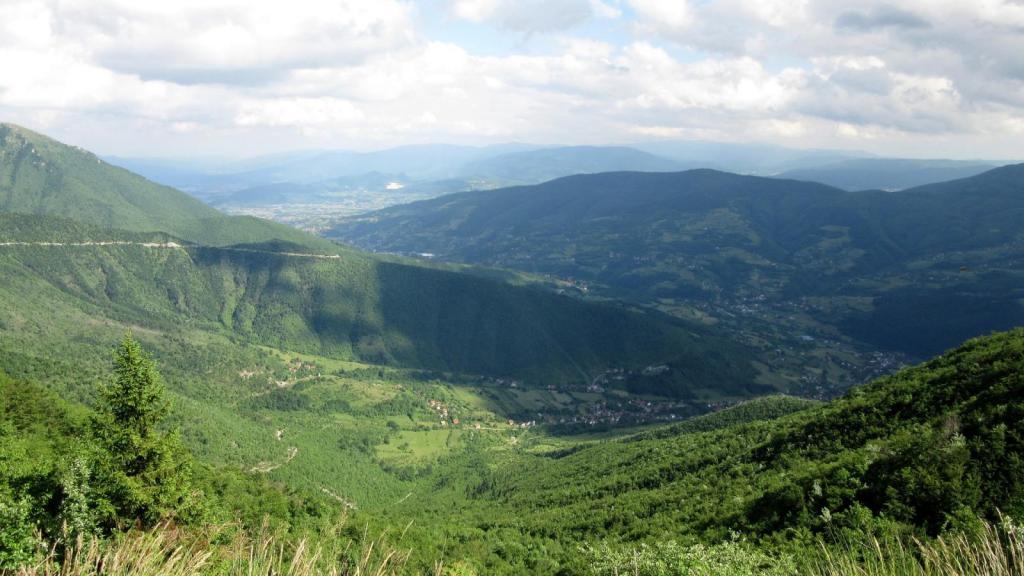 Slika