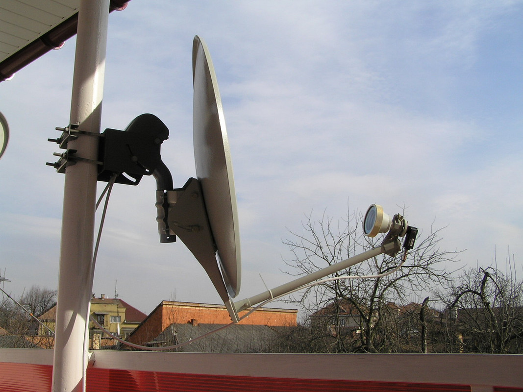 P3130003.jpg