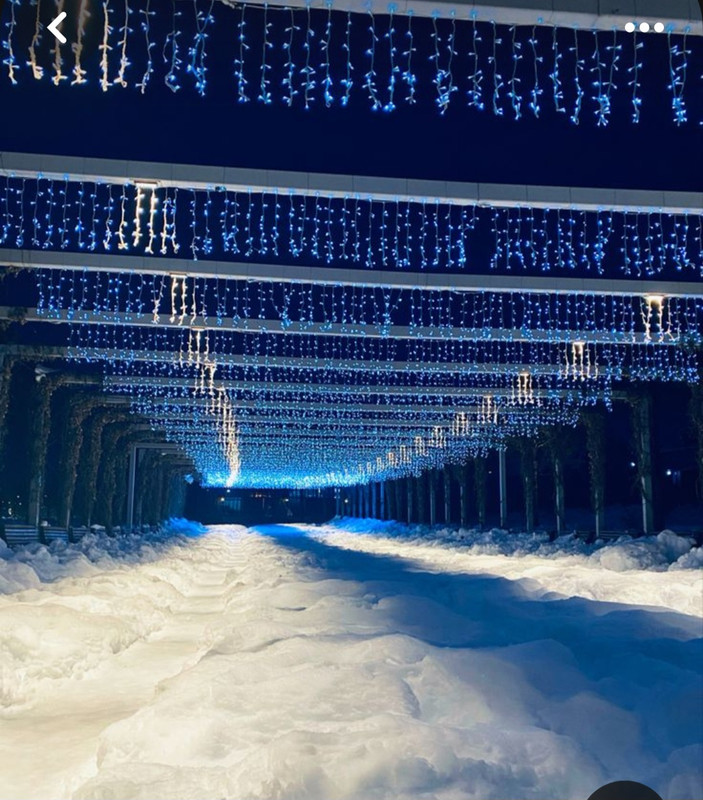 Screenshot_20240130_214553_Pinterest