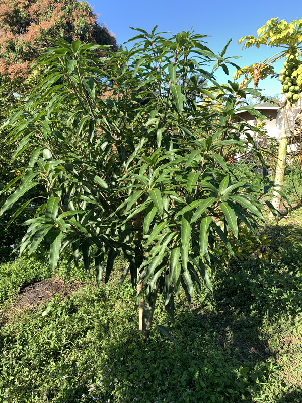 AEFAC024-CD17-48D0-BDA1-E0FB17FE4370