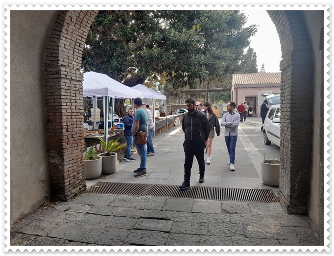 345213079-254628283716998-61071530634303